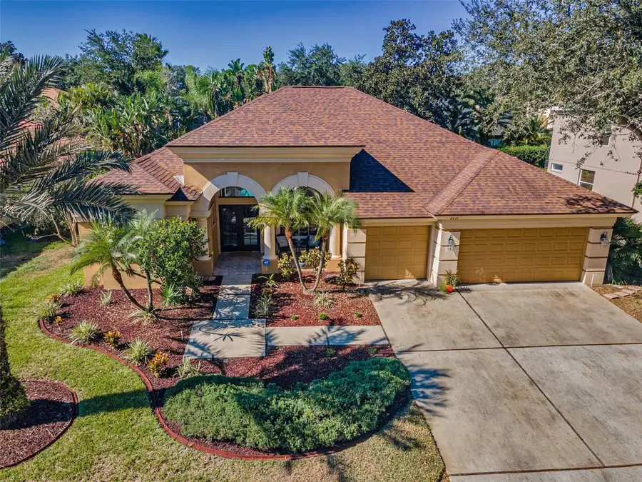 4055 Ligustrum Drive, Palm Harbor, FL 34685 - Image #3