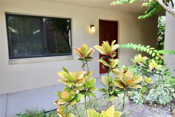 11702 Raintree Village Boulevard #B, TEMPLE TERRACE, FL 33617