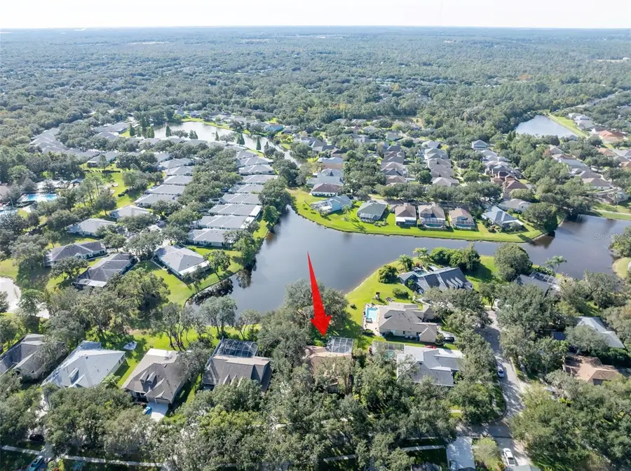 15015 Eaglerise Drive, Lithia, FL 33547 - Image #3