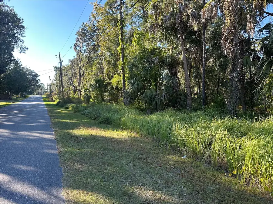 6291 W Arter Street, Crystal River, FL 34429 - Image #2