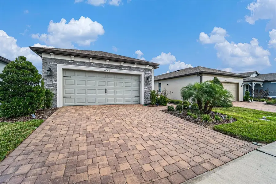 6041 Shorebird Branch, Land O Lakes, FL 34638 - Image #3