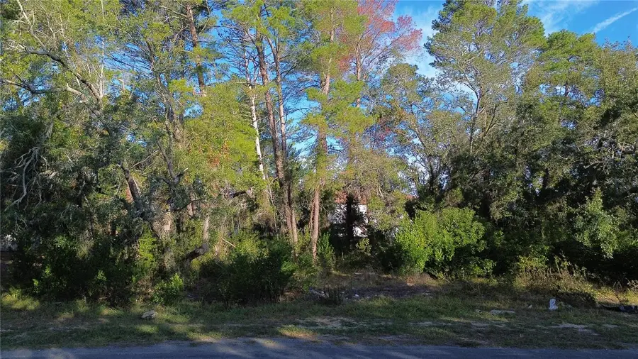 7931 Rhanbuoy Road, Spring Hill, FL 34606 - Image #2