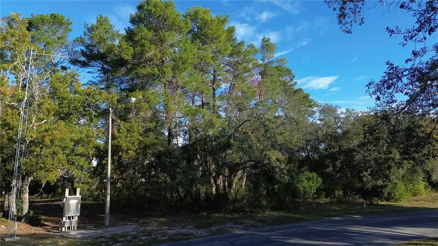 7931 Rhanbuoy Road, Spring Hill, FL 34606 - Image #3