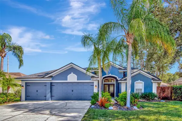 467 Equine Drive, TARPON SPRINGS, FL 34688