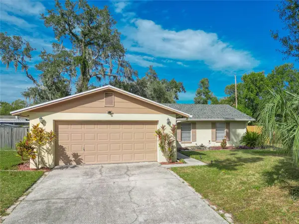 925 Mcintosh Circle, BRANDON, FL 33510