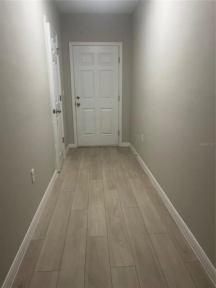 34209 Scarlet Sage Courts, Wesley Chapel, FL 33545 - Image #3