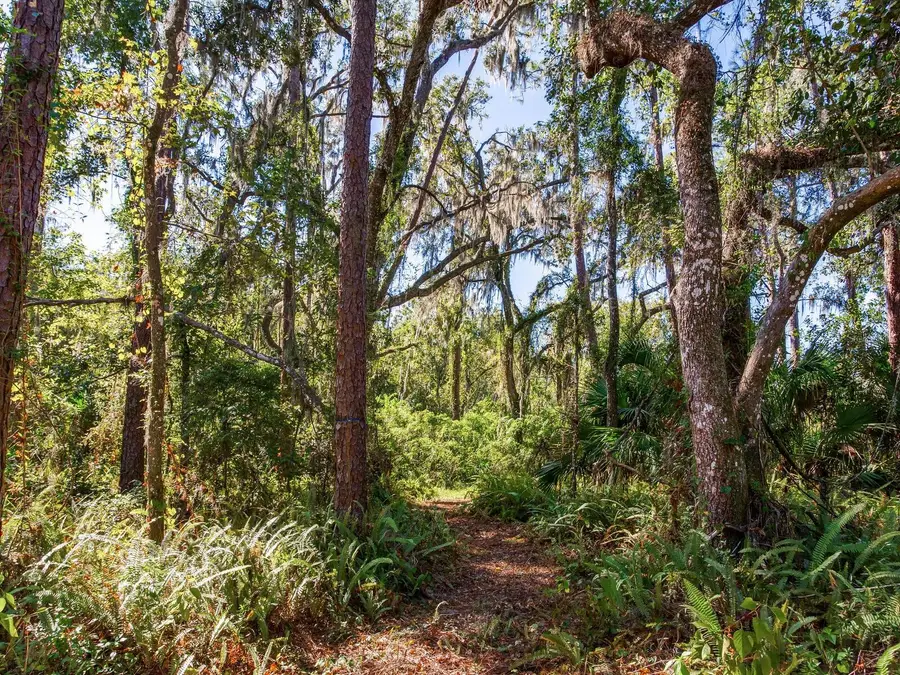 Drawdy Road, Plant City, FL 33567 - Image #2