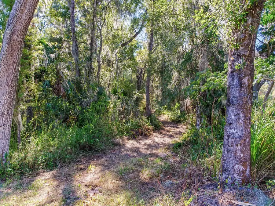 Drawdy Road, Plant City, FL 33567 - Image #3