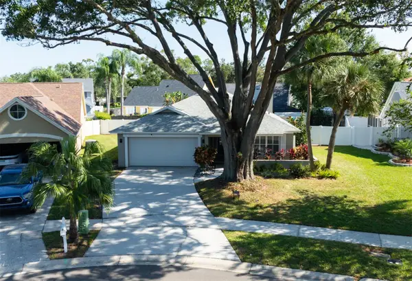 14515 Clifty Court, TAMPA, FL 33624