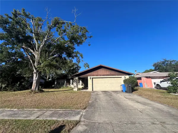 14310 Promontory Point Place, TAMPA, FL 33625