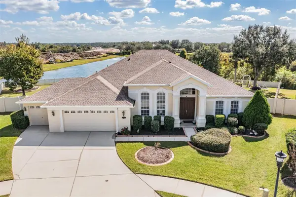 20331 Natures Corner Drive, TAMPA, FL 33647