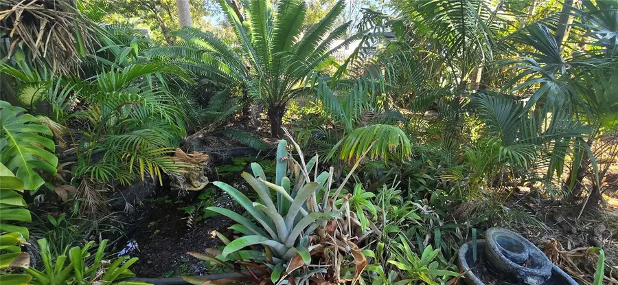 3665 42nd Avenue N, Saint Petersburg, FL 33714 - Image #3