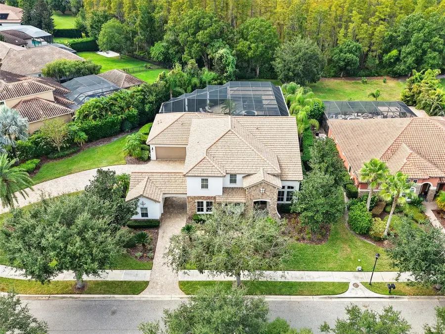 17420 Varona Place, Lutz, FL 33548 - Image #3