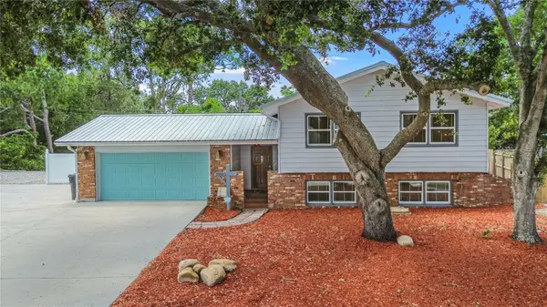 6515 Dimarco Road, TAMPA, FL 33634