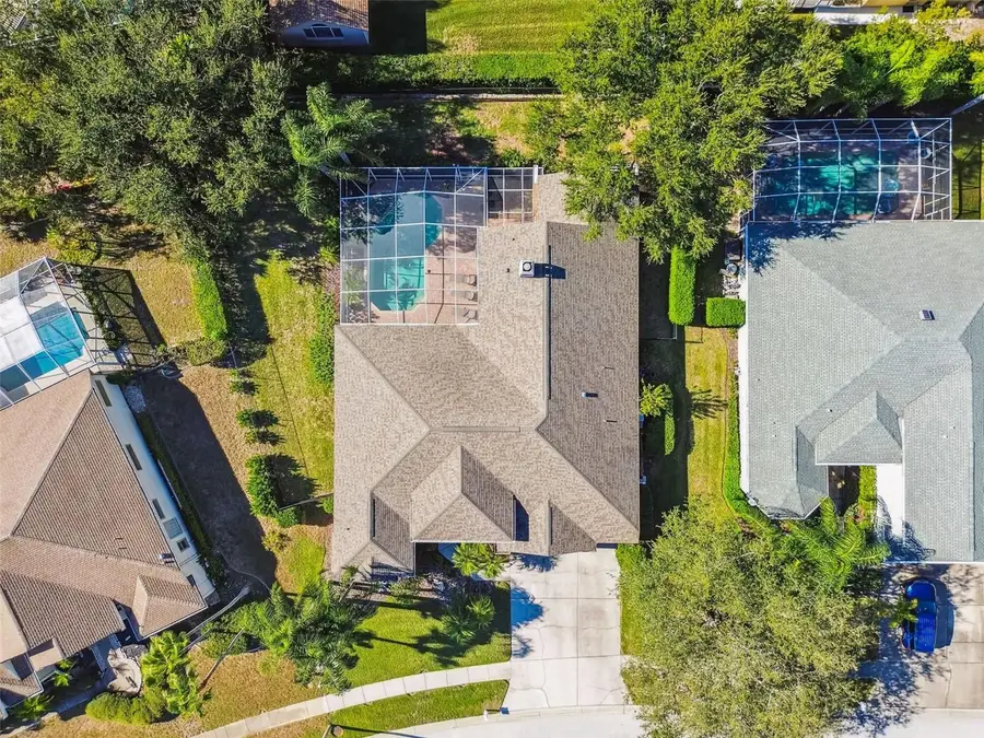 4530 Roanoak Way, Palm Harbor, FL 34685 - Image #3