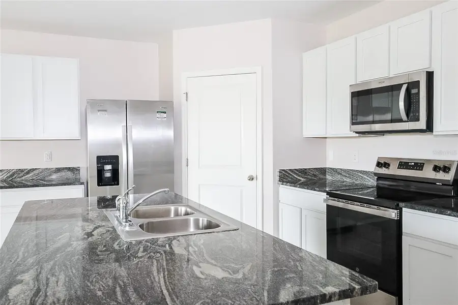 34029 Sorrel Mint Drive, Wesley Chapel, FL 33543 - Image #2