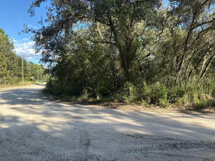 2909 Eastwood Street, Inverness, FL 34452 - Image #3