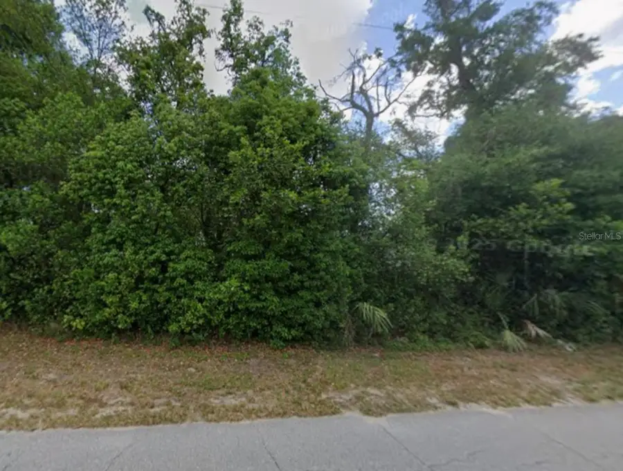 Old Trilby Road, Dade City, FL 33523 - Image #3