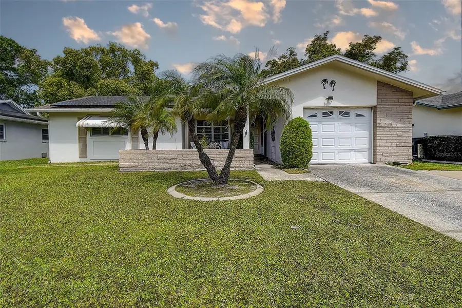 2955 Briar Cliff Drive, Palm Harbor, FL 34684 - Image #3