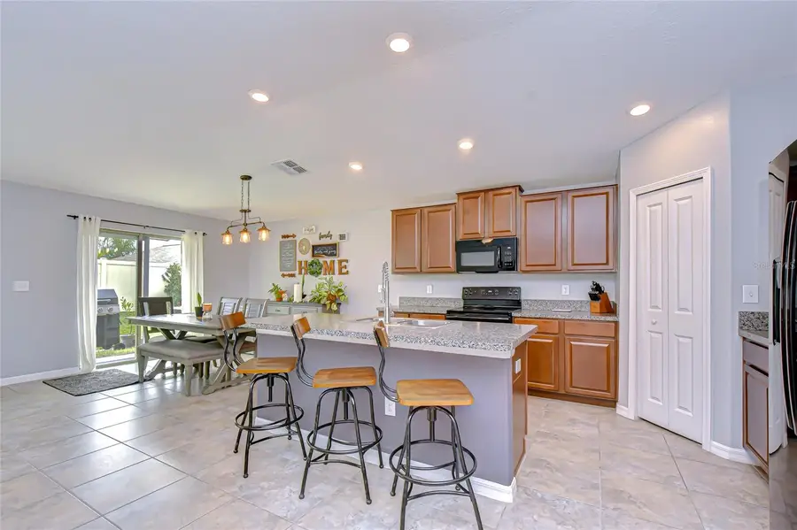 10115 Paradise Fish Drive, Riverview, FL 33578 - Image #3