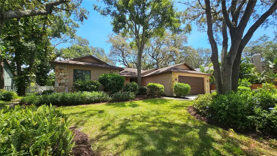 2401 Country Trails Drive, Safety Harbor, FL 34695 - Image #3