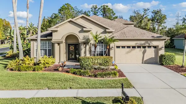 27239 Firebush Drive, WESLEY CHAPEL, FL 33544