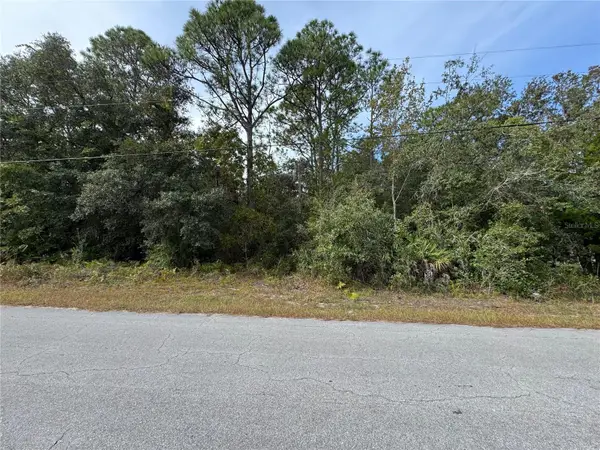 2830 S Bolton Avenue, HOMOSASSA, FL 34448