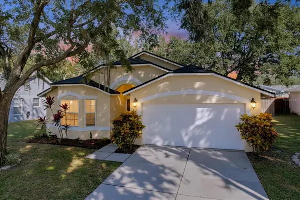 5906 Erhardt Drive, RIVERVIEW, FL 33578