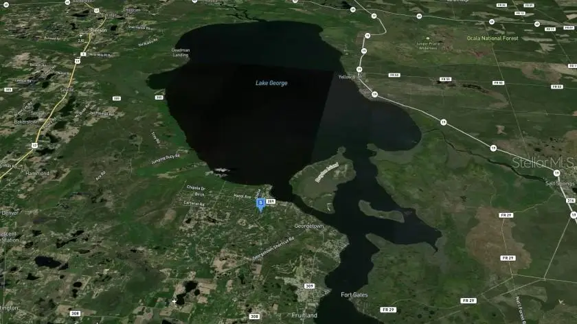 138 Mosswood Street, Georgetown, FL 32139 - Image #3