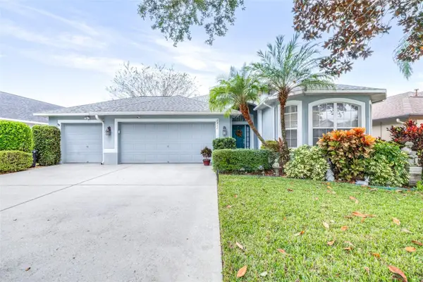 2911 Hickory Grove Drive, VALRICO, FL 33596