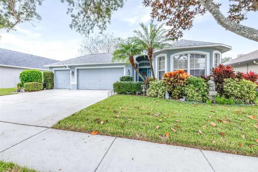 2911 Hickory Grove Drive, Valrico, FL 33596 - Image #2