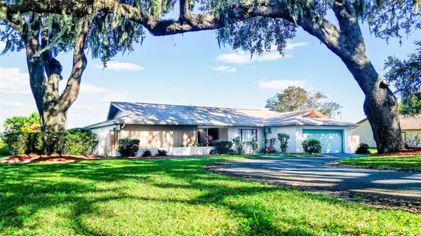 9891 County Road 114b, WILDWOOD, FL 34785