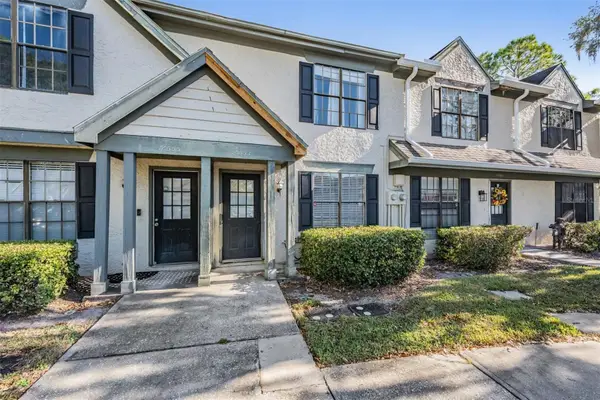 16553 Brigadoon Drive, TAMPA, FL 33618