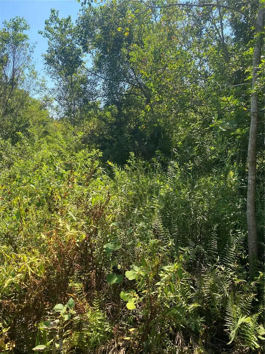 0000 23rd Ave Road, Ocala, FL 34473 - Image #1