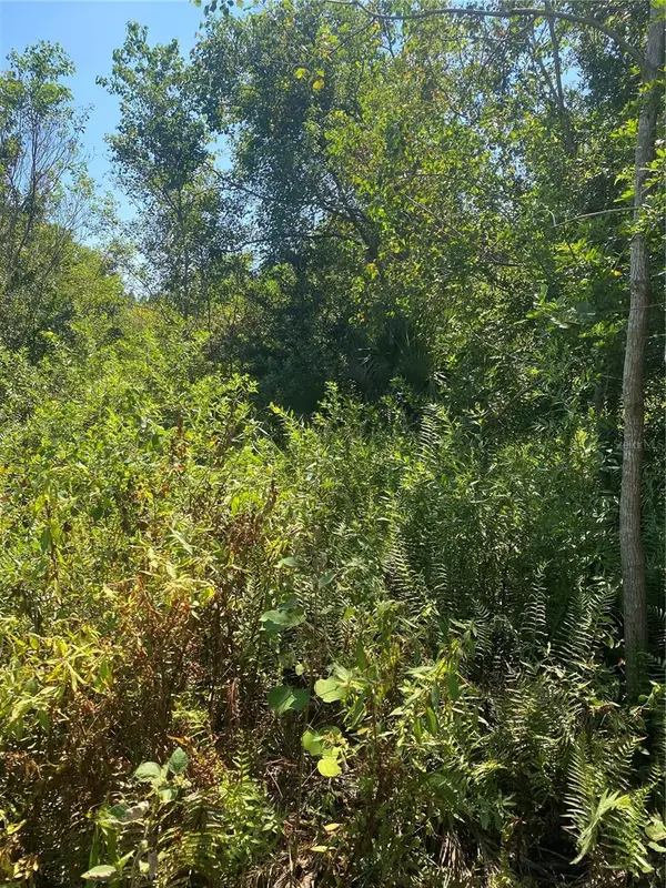 0000 23rd Ave Road, OCALA, FL 34473