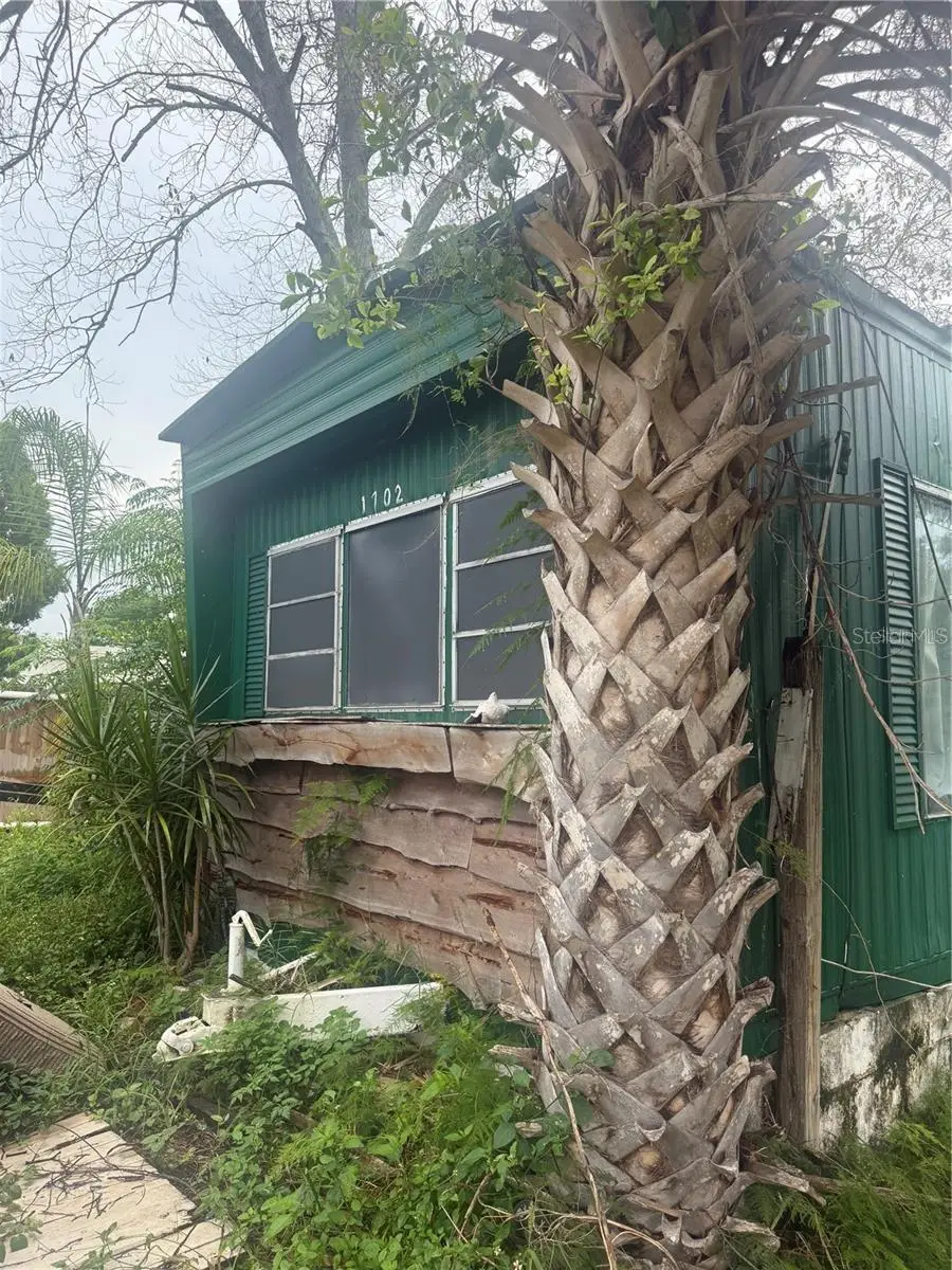 1702 Holiday Drive, Holiday, FL 34691 - Image #3