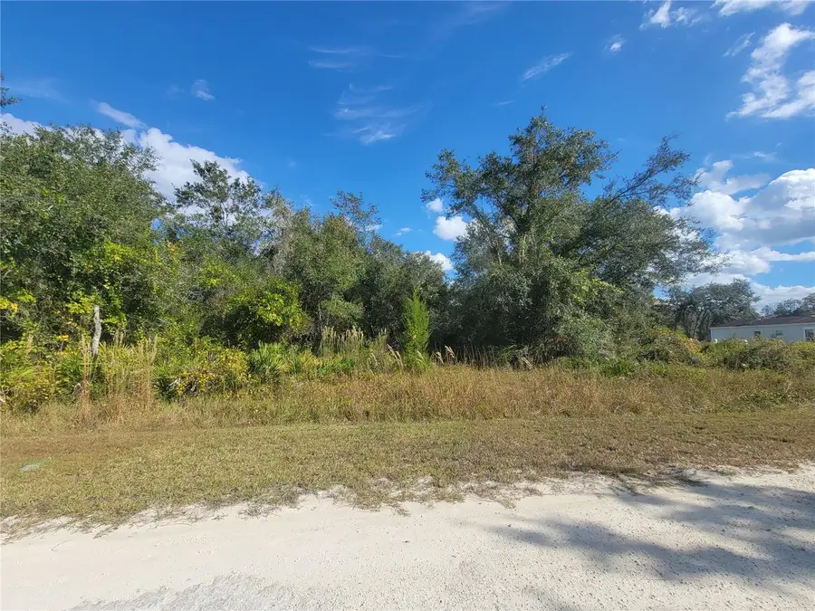 9460 Rousseau Street, Webster, FL 33597 - Image #2