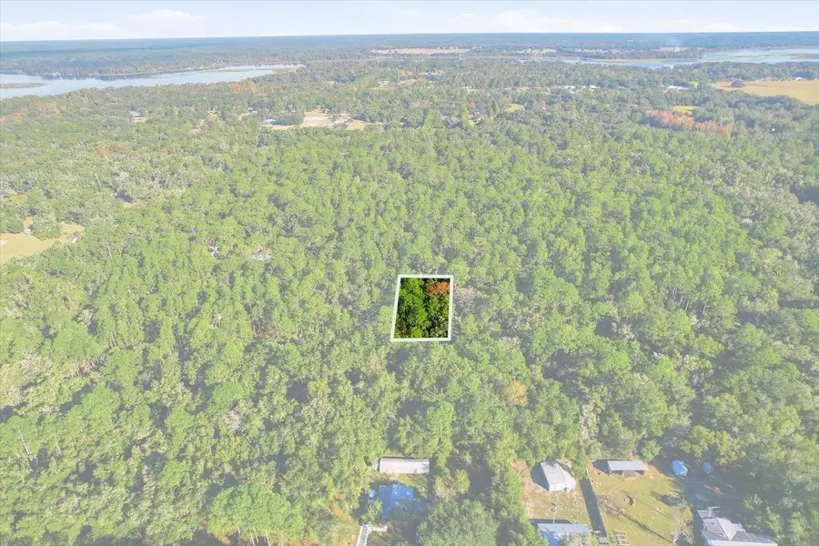 7637 W Rainbow Street, Dunnellon, FL 34433 - Image #3