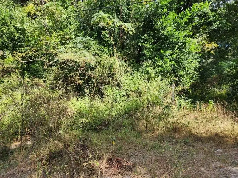 11911 Leroy Sheppard Road, Thonotosassa, FL 33592 - Image #2