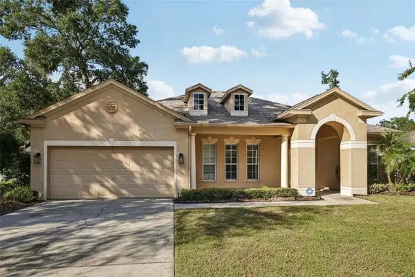 2108 Fawn Meadow Drive, VALRICO, FL 33594