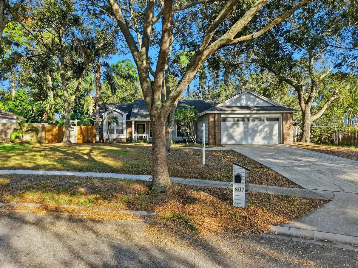 807 Edgehill Drive, Palm Harbor, FL 34684 - Image #1