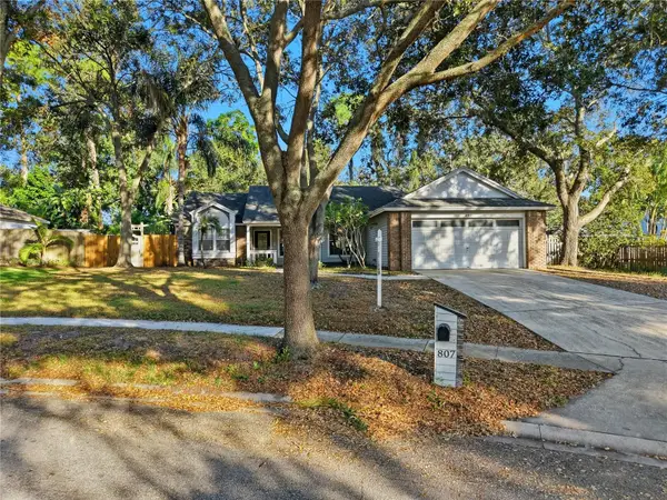 807 Edgehill Drive, PALM HARBOR, FL 34684