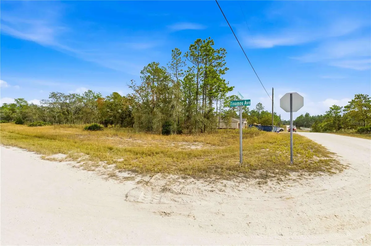 0 Tinamou Avenue, Weeki Wachee, FL 34613 - Image #1