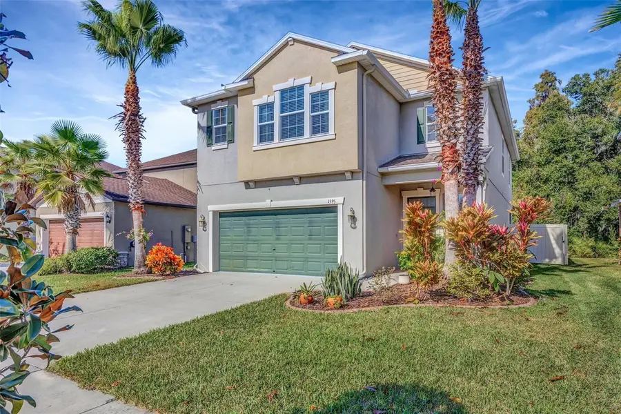 1595 Ludington Avenue, Wesley Chapel, FL 33543 - Image #2