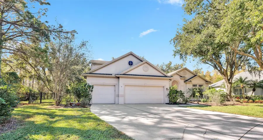 10218 Shadow Branch Drive, Tampa, FL 33647 - Image #2