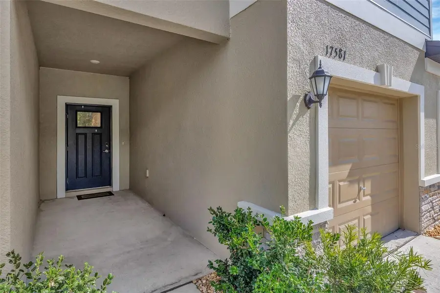 17581 Nectar Flume Drive, Land O Lakes, FL 34638 - Image #3