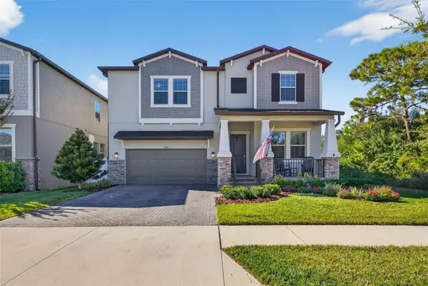 7701 S Faul Street, TAMPA, FL 33616