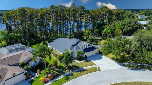 13815 Chandron Drive, ODESSA, FL 33556