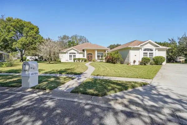 13750 Dowling Lane, ODESSA, FL 33556