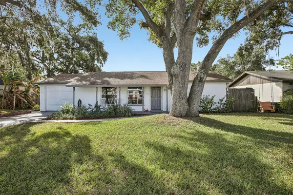 2767 Dovewood Street, CLEARWATER, FL 33759